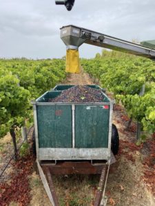 Woodsoak Wines Harvester in Vineyard
